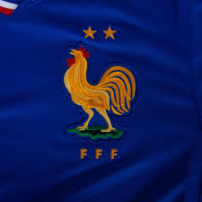 Maillot France Domicile FJ1259-452 - Vue 2