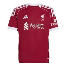 LFC Home JV6423 - Vue 1